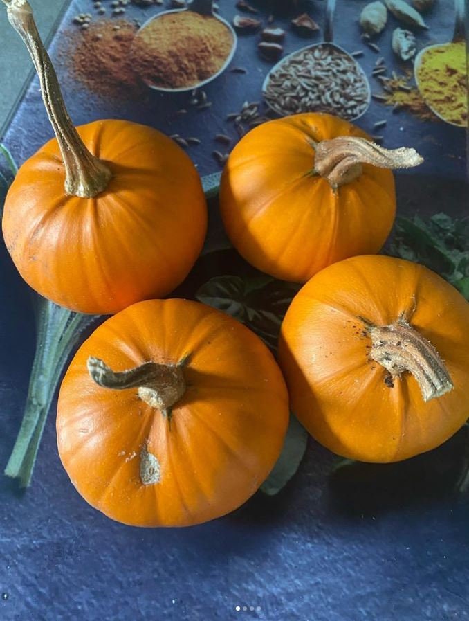 Baby Bear Pumpkin Seeds
