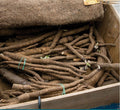 Chiko | Burdock Seeds