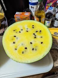 Golden Honey Watermelon Seeds