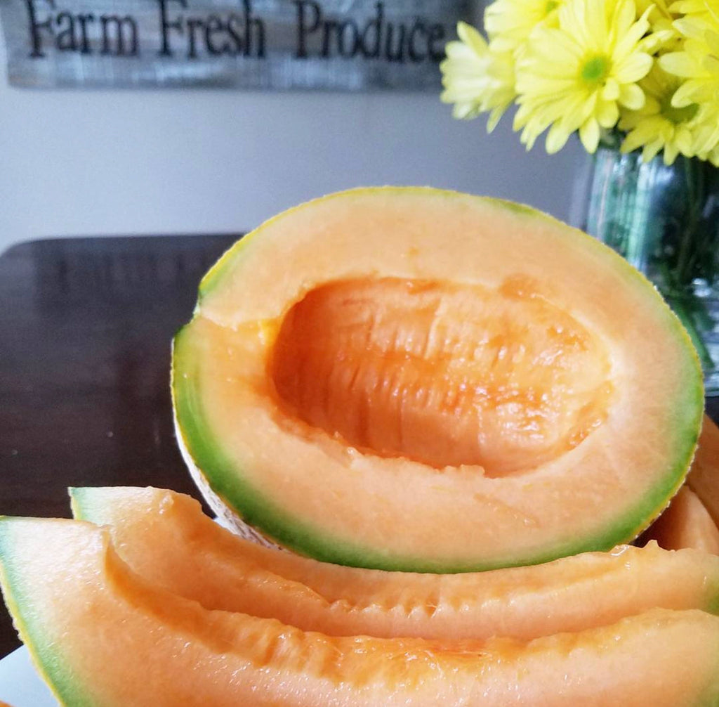 Honey Rock Melon Seeds