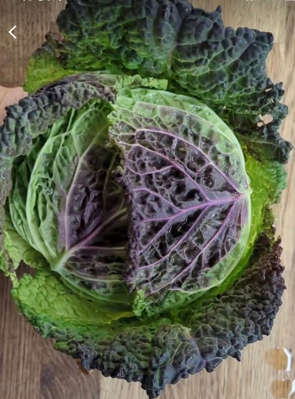 Purple Savoy Cabbage Seeds