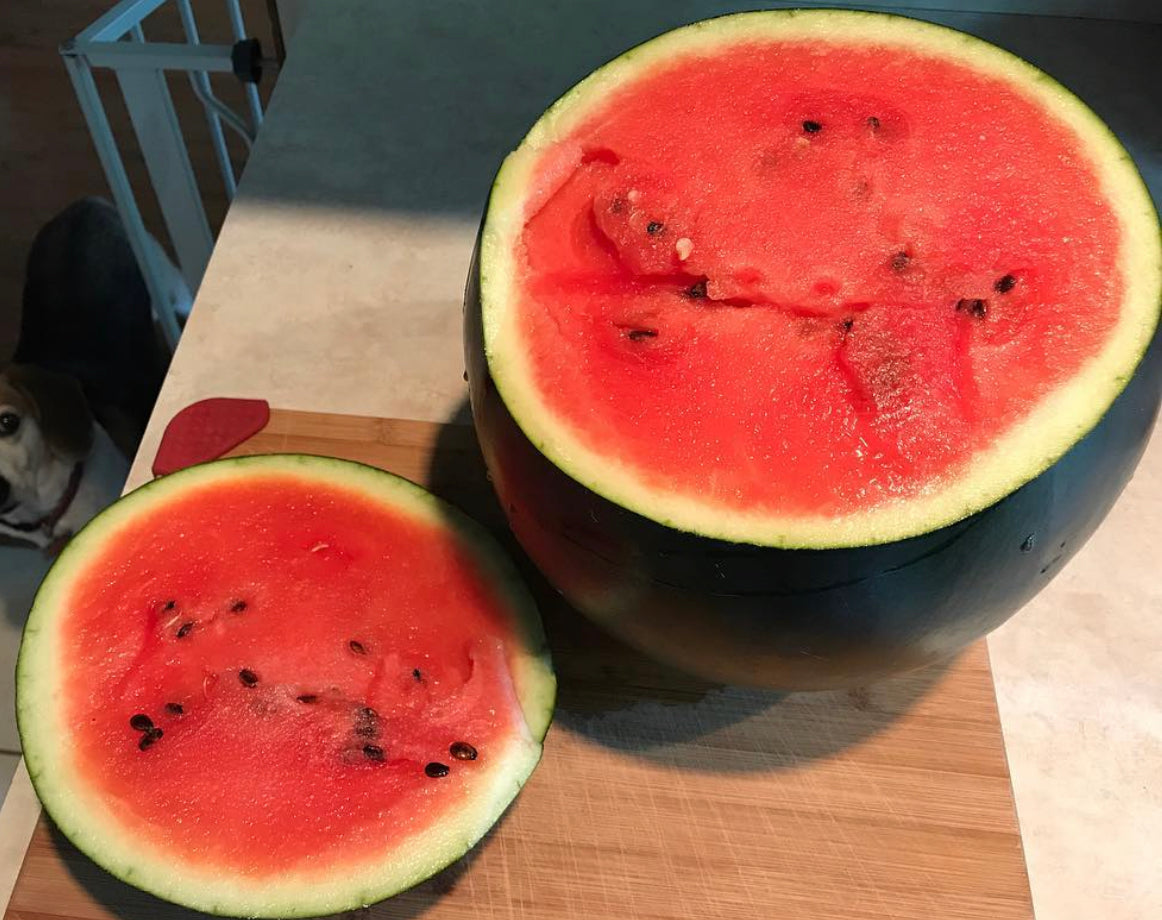 Sugar Baby Watermelon Seeds