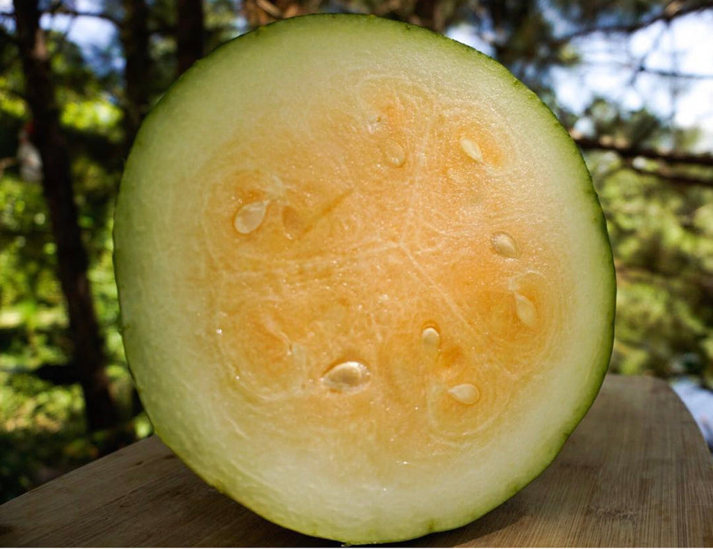 Moon and Stars Yellow Watermelon Seeds