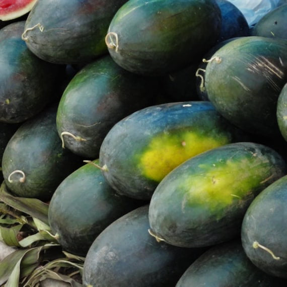 Black Diamond Yellow Belly Watermelon Seeds