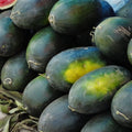 Black Diamond Yellow Belly Watermelon Seeds