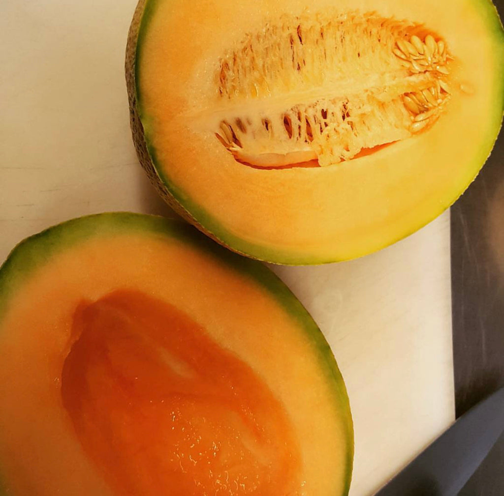 Honey Rock Melon Seeds