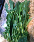 Dandelion Italian Greens Seeds