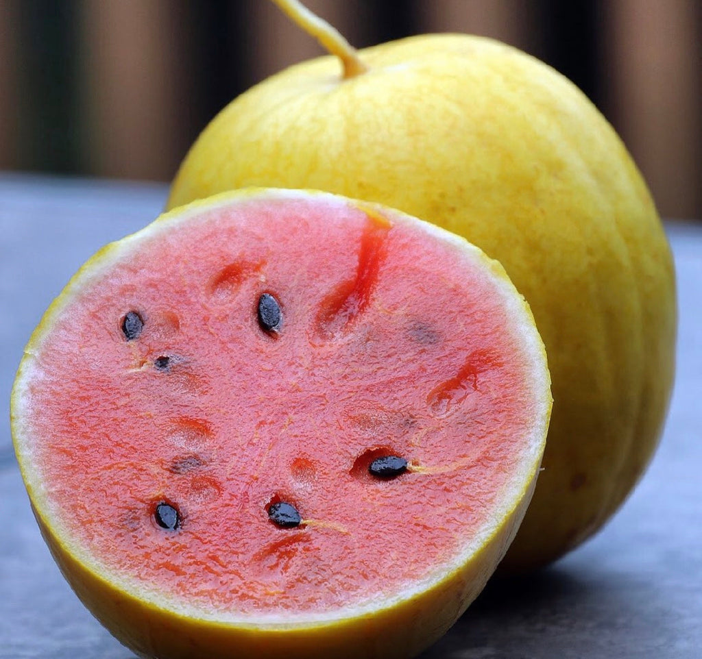 Golden Midget Heirloom Watermelon Seeds