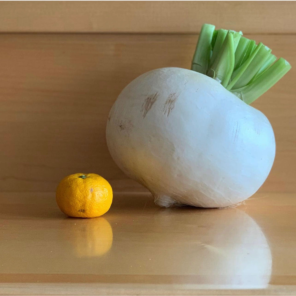 Shogoin Turnips Seeds