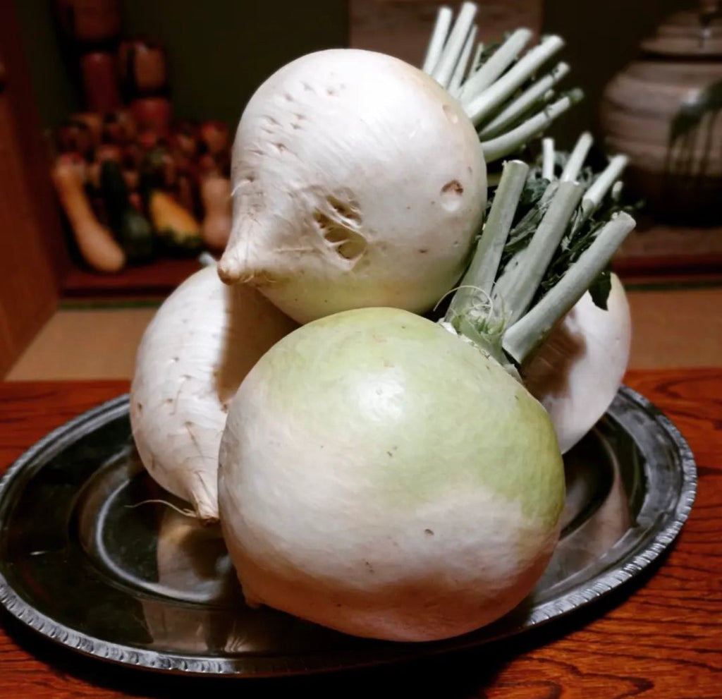 Shogoin Turnips Seeds