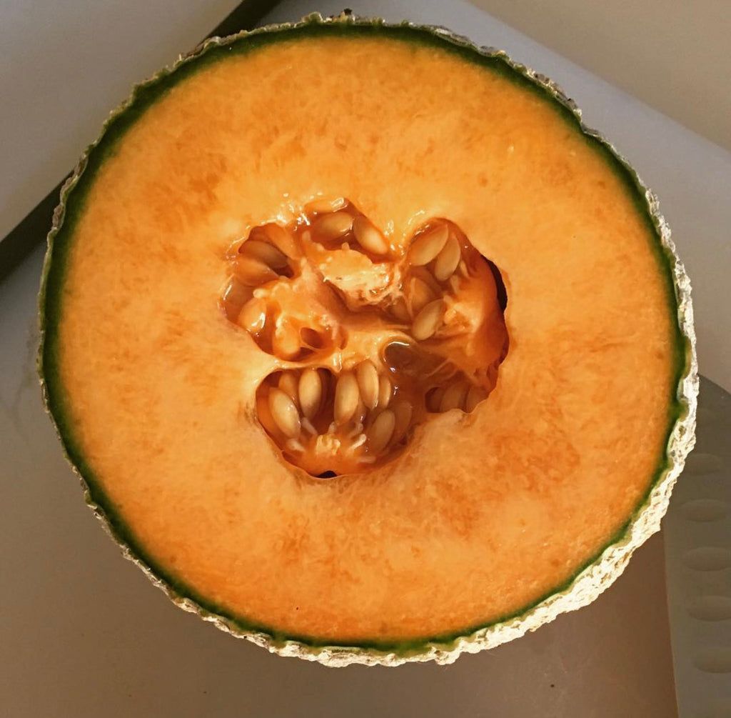 Honey Rock Melon Seeds