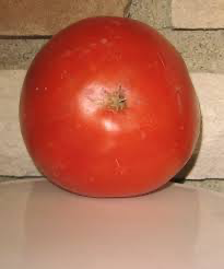 Hamson Tomato Seeds
