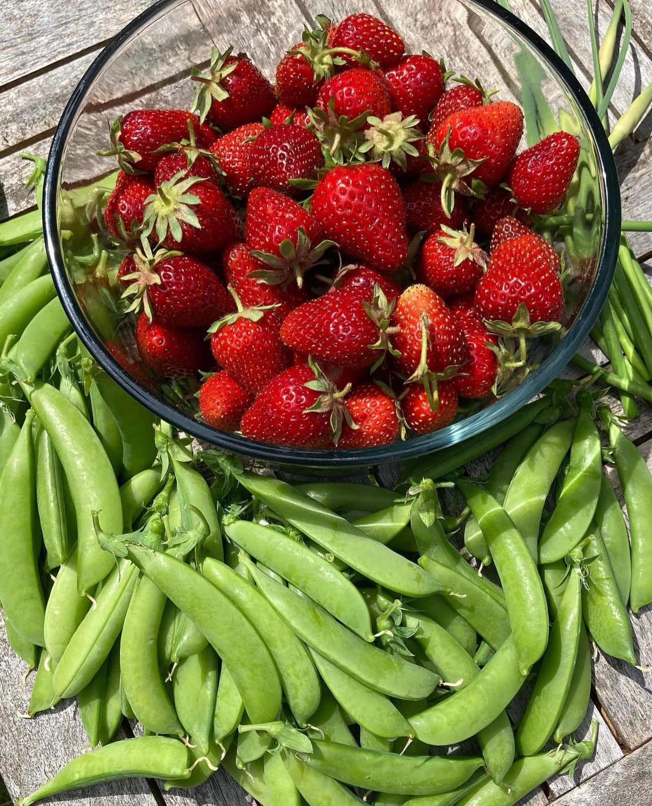 Sugar Snap Peas Seeds