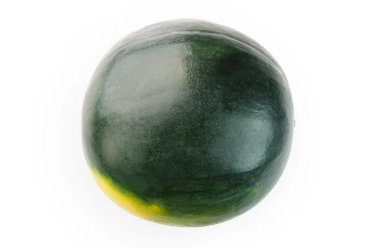 Black Diamond Yellow Belly Watermelon Seeds