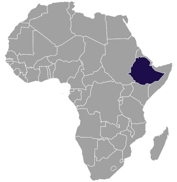 Ethiopia Goro Badessa